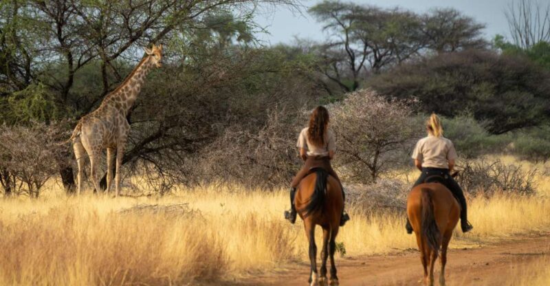 From Johannesburg: Horse-Riding Safari and Cable Car Tour - An In-Depth Look at the Experience