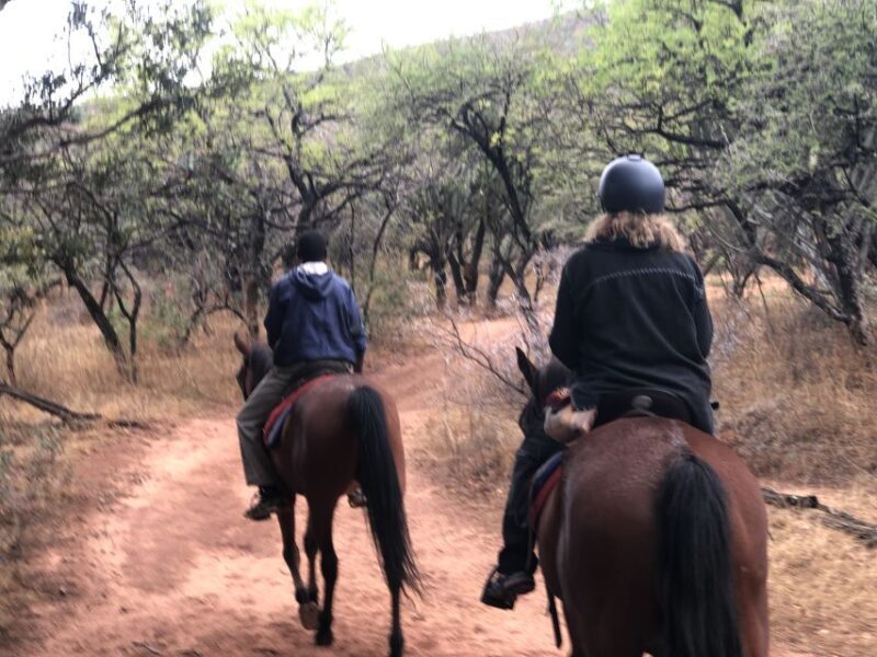 From Johannesburg: Horse-Riding Safari and Cable Car Tour - Final Thoughts
