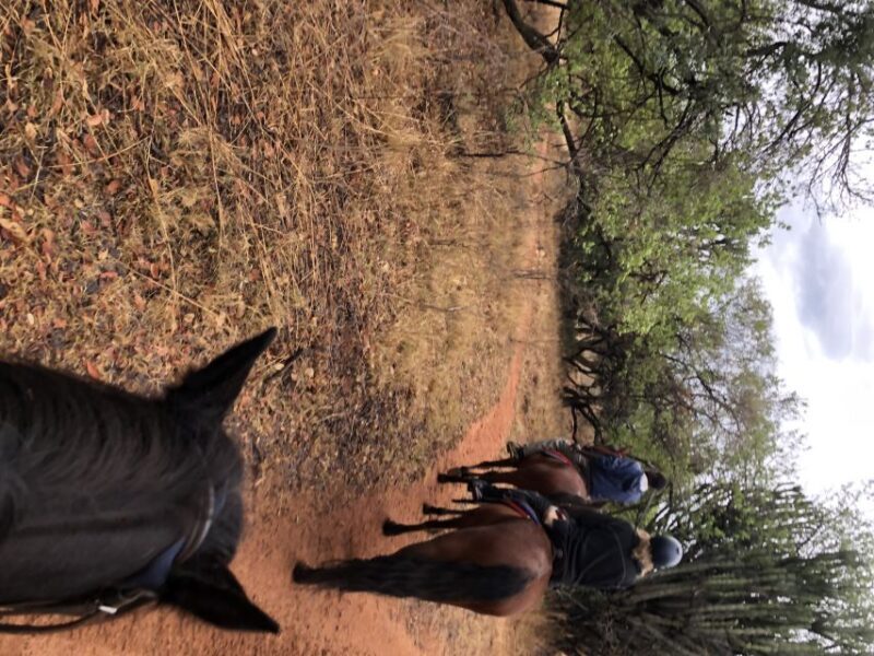 From Johannesburg: Horse-Riding Safari and Cable Car Tour - FAQs