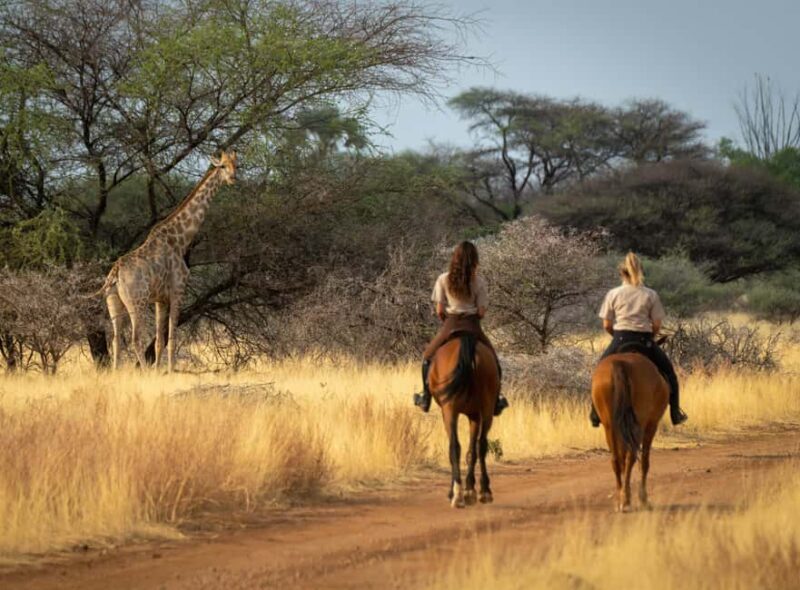 From Johannesburg: Horse-Riding Safari - Key Points