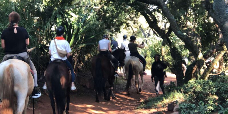 From Johannesburg: Horse-Riding Safari - An Introduction to the Horse-Riding Safari Experience