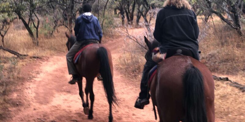 From Johannesburg: Horse-Riding Safari - What to Expect During the Ride