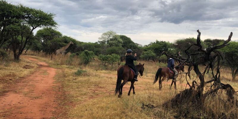 From Johannesburg: Horse-Riding Safari - The Real Impact of the Experience According to Reviews
