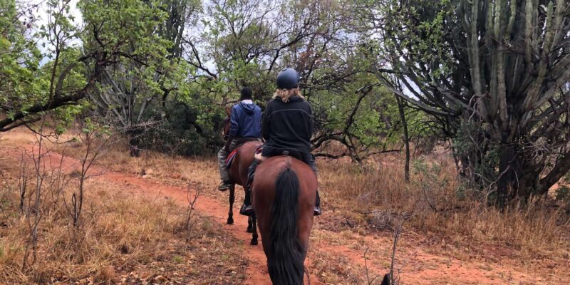 From Johannesburg: Horse-Riding Safari - Practical Tips for a Smooth Ride