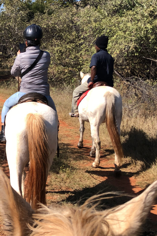 From Johannesburg: Horse-Riding Safari - Why Consider This Tour?