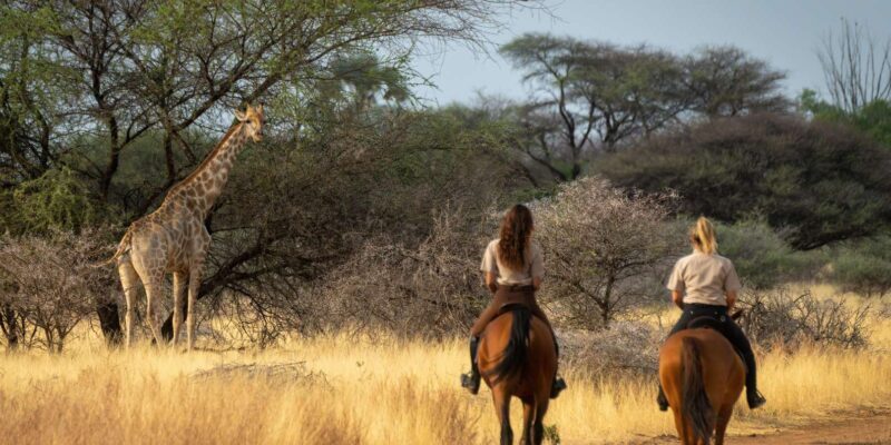 From Johannesburg: Horse-Riding Safari - Who Should Book This?