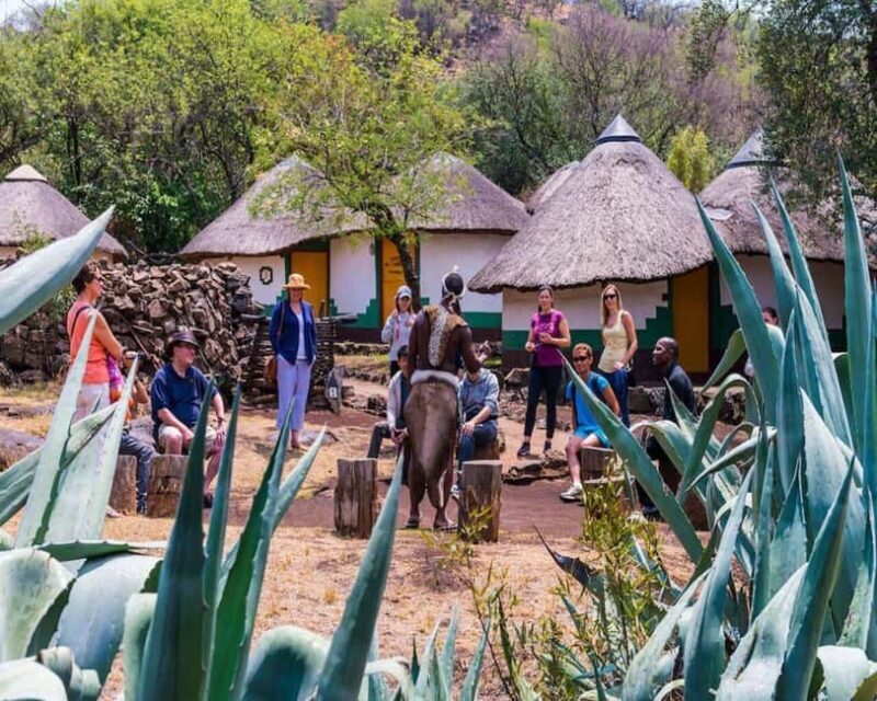 From Johannesburg : Lion Park Tour with Lesedi Village Tour - What’s Included and What’s Not