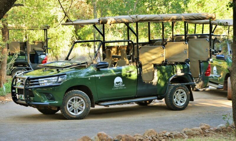 From Johannesburg: Pilanesberg Nature Reserve Game Safari - A Deep Dive into the Pilanesberg Safari Experience