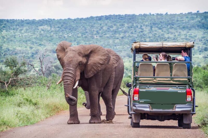 From Johannesburg: Pilanesberg Wildlife Safari - An Authentic Safari Experience Near Johannesburg