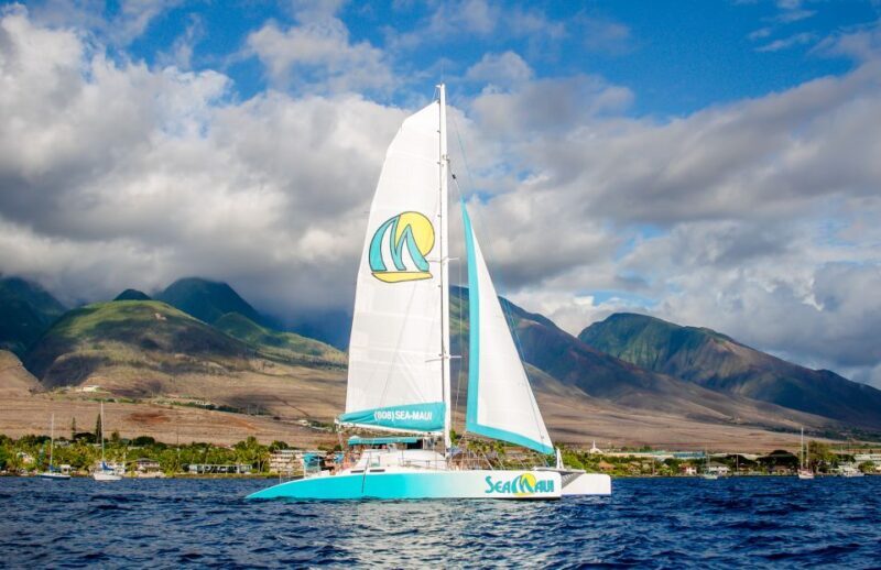 From Kaanapali: Afternoon West Maui Snorkeling w/ Drinks - An Honest Look at What to Expect from the Tour