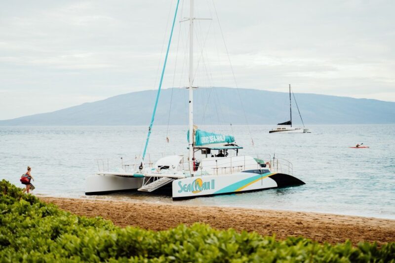 From Kaanapali: Afternoon West Maui Snorkeling w/ Drinks - The Sum Up