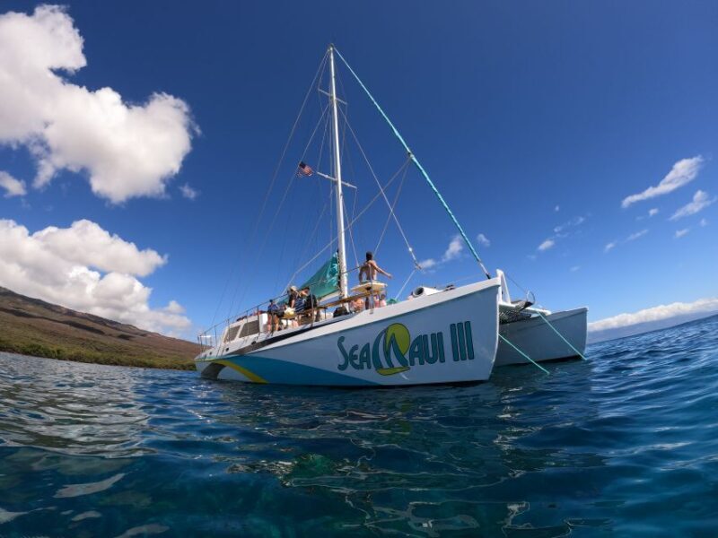 From Ka'anapali: West Maui Half-Day Snorkel Tour w/ Food - Exploring the Experience in Depth