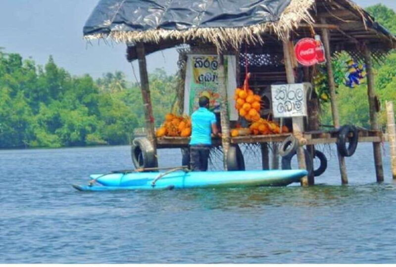 From Kalutara: Exclusive Madu River Safari & Turtle Hatchery - Logistics and Value