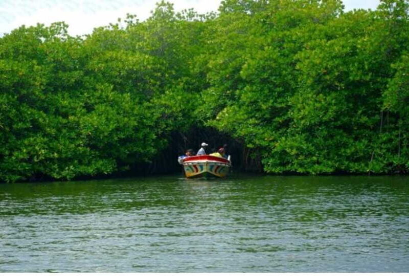 From Kalutara: Exclusive Madu River Safari & Turtle Hatchery - Who Will Love This Tour?