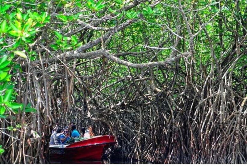 From Kalutara: Exclusive Madu River Safari & Turtle Hatchery - FAQ
