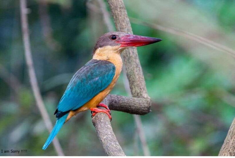 From Kalutara:Exclusive Galle Dutch Fort & Madu River Safari - FAQ
