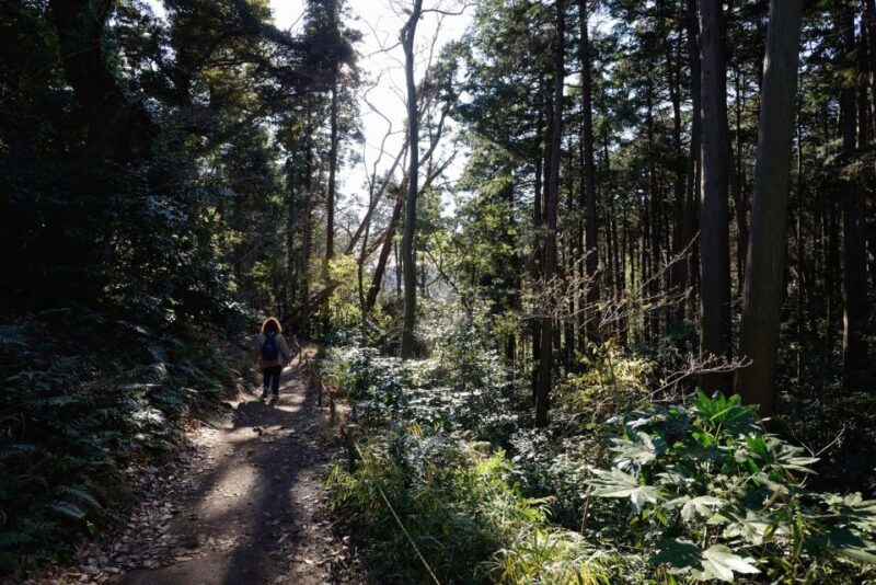 From Kamakura: Daibutsu Hiking Trail Tour with Local Guide - Who Should Consider This Tour?