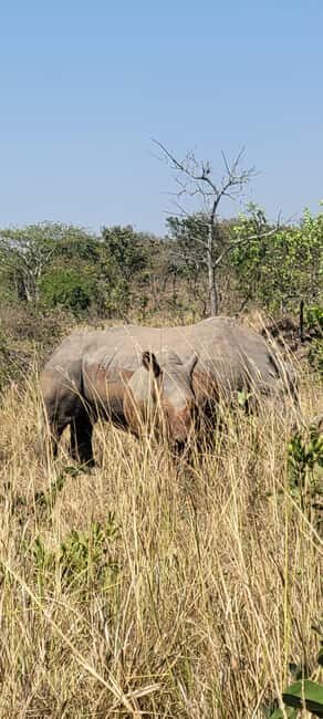 From Kampala: 2-Day Murchison Falls National Park Vacation - Key Points