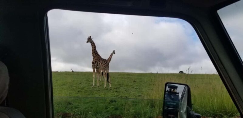 From Kampala: 3-Day Murchison Falls Safari with Rhino Trek - Day 1: Kampala to Murchison with Rhino Tracking