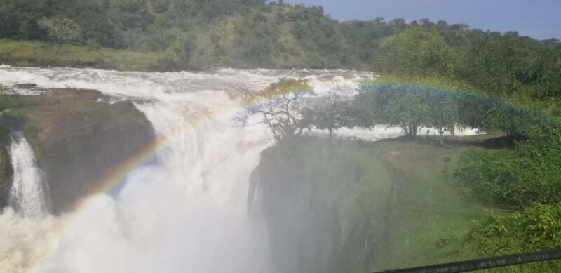 From Kampala: 3-Day Murchison Falls Safari with Rhino Trek - Day 3: Final Game Drive and Return to Kampala