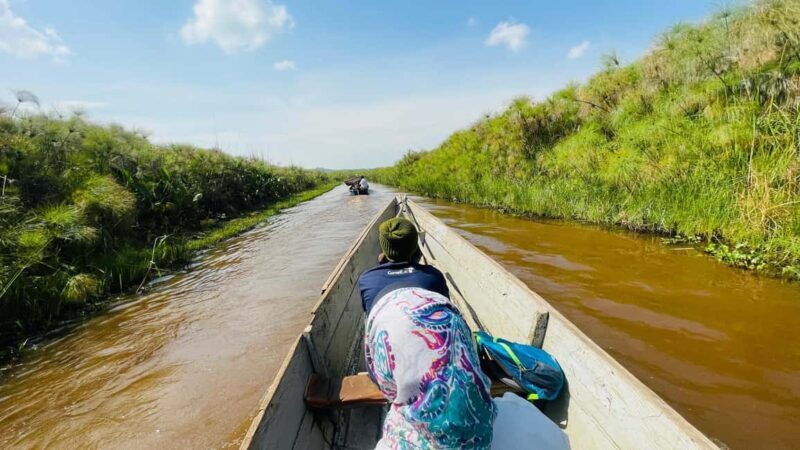 From Kampala: Mabamba Swamp Birding Half-Day Tour - Key Points