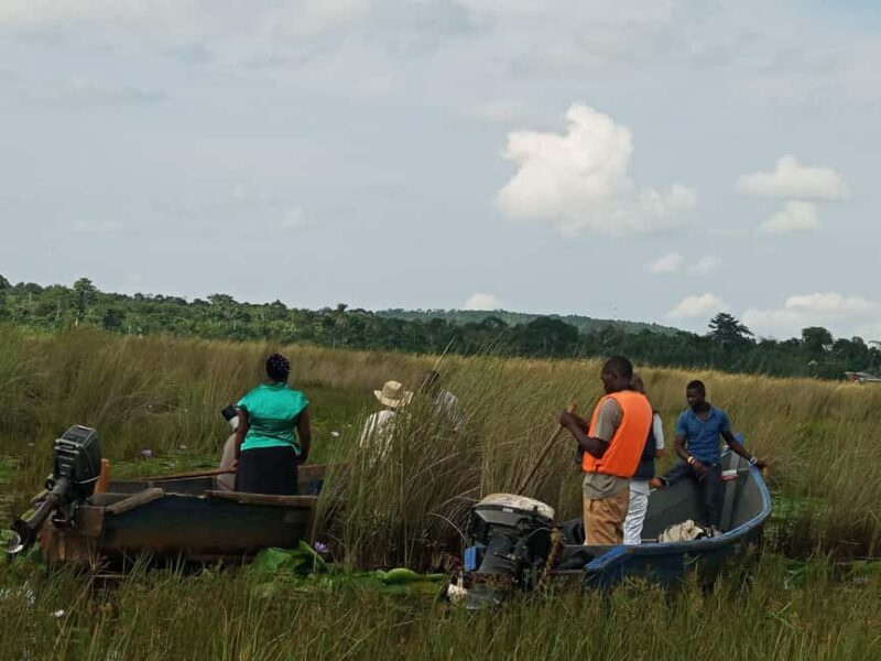 From Kampala: Mabamba Swamp Birding Half-Day Tour - FAQ