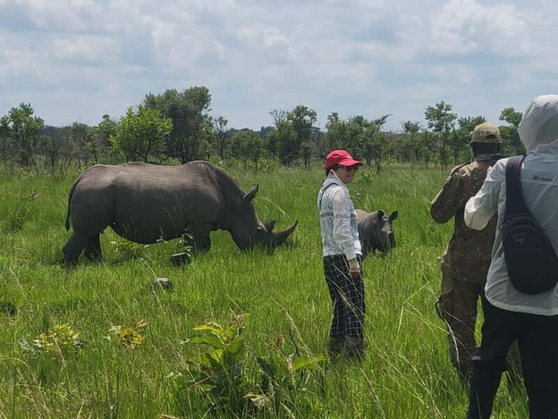From Kampala: Ziwa Rhino Sanctuary Day Tour with Lunch - The Sum Up
