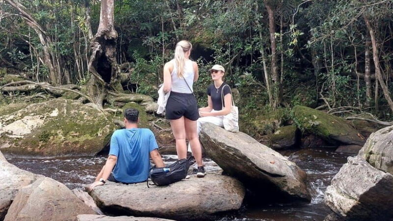 From Kampot: Bokor National Park Scenic Tour - Exploring the Natural and Cultural Wonders of Bokor