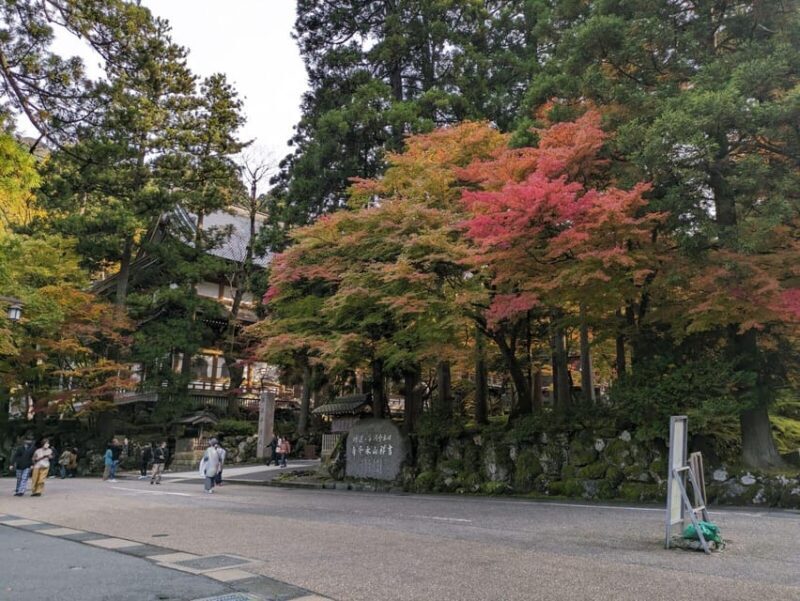 From Kanazawa: Eiheiji Buddhist Temple & Fukui Castle Town - Key Points