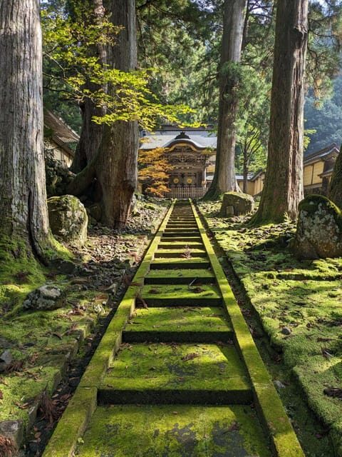 From Kanazawa: Eiheiji Buddhist Temple & Fukui Castle Town - An In-Depth Look at the Tour