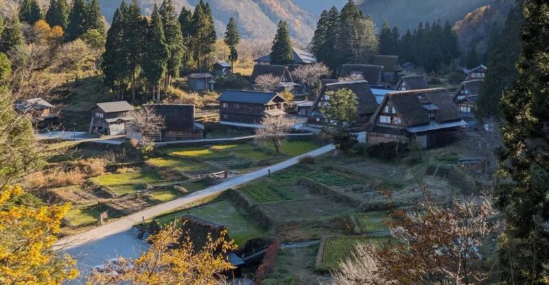 From Kanazawa: Shirakawa-go, Gokayama and Wood Carving art - From Kanazawa: Shirakawa-go, Gokayama, and Wood Carving Art — A Complete Guide