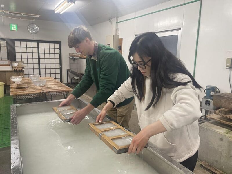 From Kanazawa: Shirakawa-go, Gokayama and Wood Carving art - What the Reviews Say