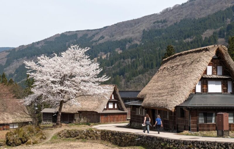 From Kanazawa: Shirakawa-go, Gokayama and Wood Carving art - Final Thoughts