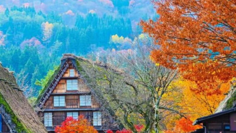 From Kanazawa/Takayama :Day Tour To Shirakawago & Takayama - Key Points