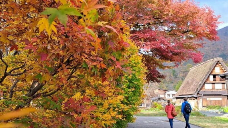 From Kanazawa/Takayama :Day Tour To Shirakawago & Takayama - An In-Depth Look at the Tour
