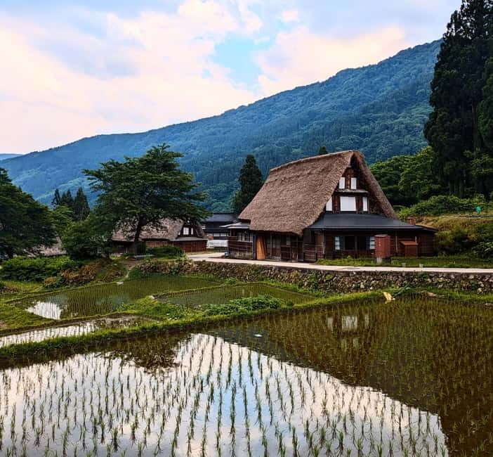 From Kanazawa: Tonami Tulip Festival and UNESCO Gokayama - Key Points