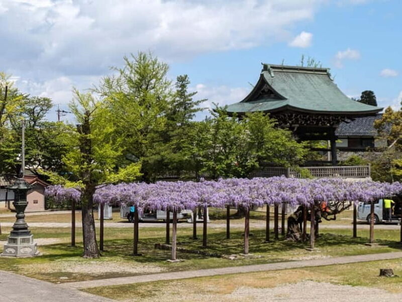 From Kanazawa: Tonami Tulip Festival and UNESCO Gokayama - The Journey From Kanazawa