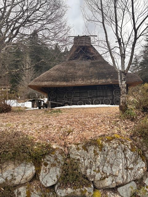 From Kanazawa/Toyama: Shirakawago and Takayama Day Tour - Final Thoughts