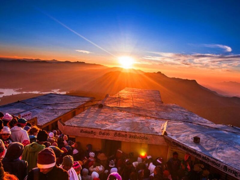 From Kandy: Adams Peak Trekking & Epic Guided Hike - Authentic Experiences & Traveler Insights