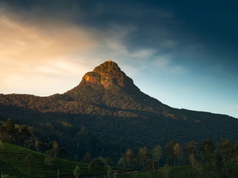 From Kandy: Adams Peak Trekking & Epic Guided Hike - Who Should Consider This Tour?