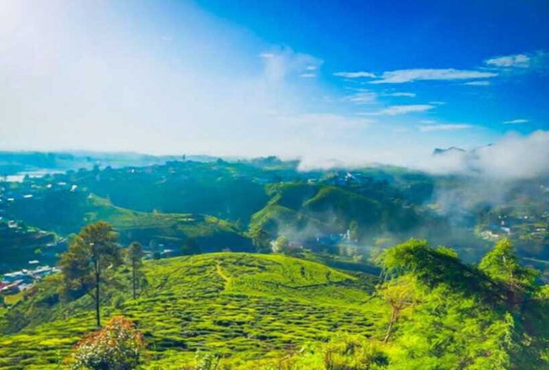 From Kandy: All Inclusive Nuwara Eliya Day Tour with Lunch - The Highlights in Detail