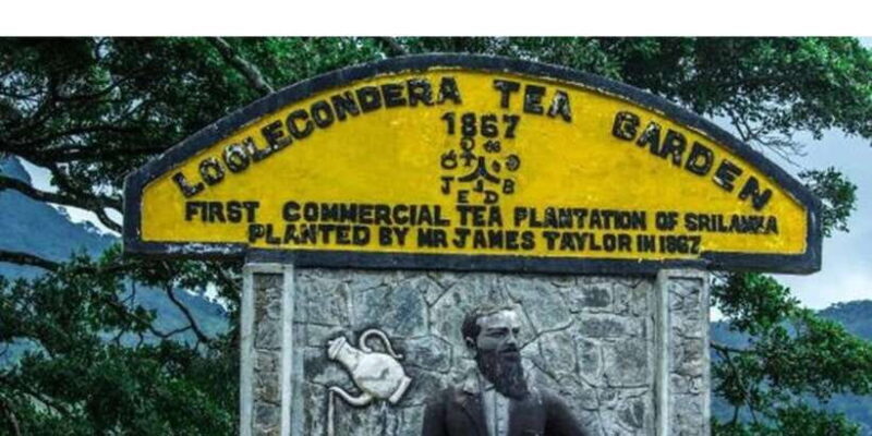 From Kandy: James Taylors Tea Tour (The Tale of Ceylon Tea) - Practicalities: What You Need to Know
