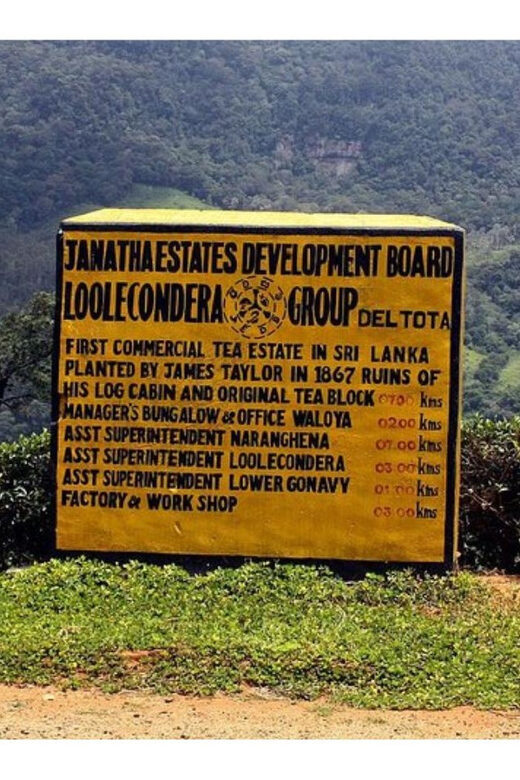 From Kandy: James Taylors Tea Tour (The Tale of Ceylon Tea) - Final Thoughts