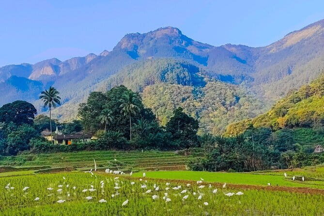 From Kandy: Nuwara Eliya Day Tour (Tea Trails, Waterfalls etc..) - Final Thoughts