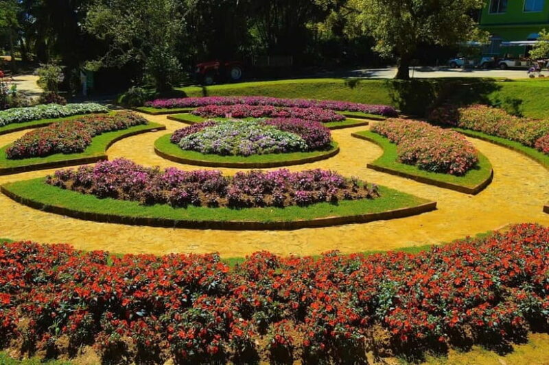 From Kandy: Nuwara Eliya Tour via Ambuluwawa [Private Tour] - Who Will Love This Tour?