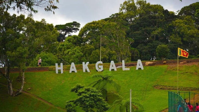 From Kandy: Nuwara Eliya Tour via Ambuluwawa [Private Tour] - Final Thoughts