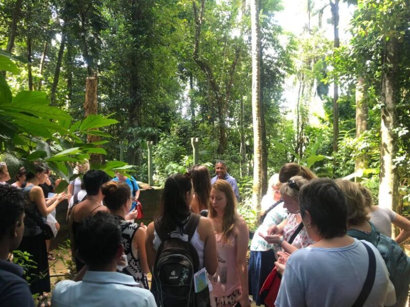 From Kandy: Pinnawala Day Tour - Final Thoughts