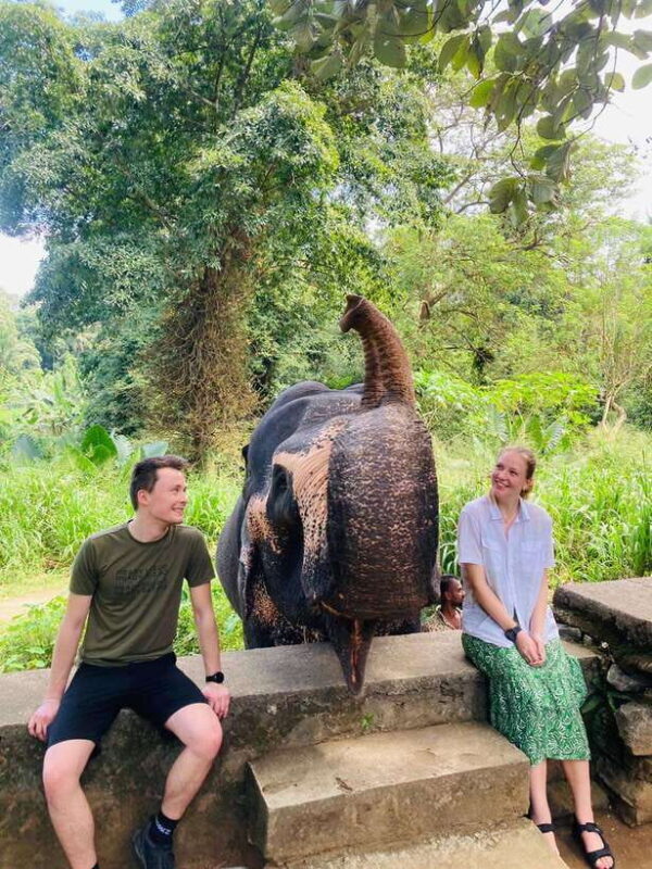 From Kandy : Pinnawala Elephant Orphanage & Ambuluwawa Tower - The Sum Up