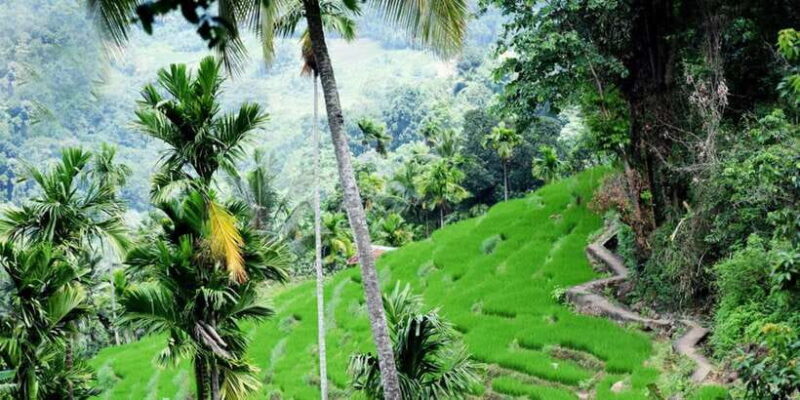 From Kandy: Private Guided Hike to Heeloya - Key Points