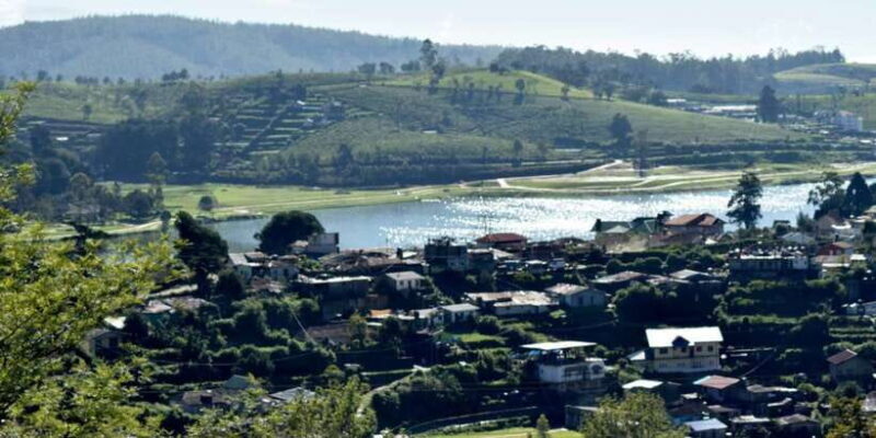 From Kandy: Private Guided Hike to Heeloya - An In-Depth Look at the Heeloya Guided Hike